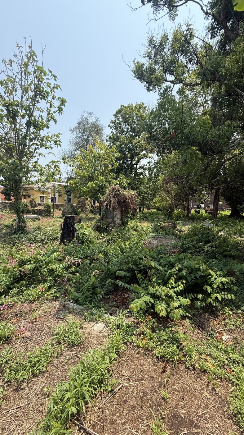 Overgrown British cemetery behind St. John's Anglican Church Thalassery