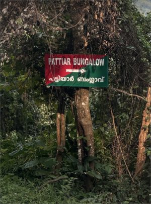 Pattiyar Bungalow Forest Department Guest House Booking